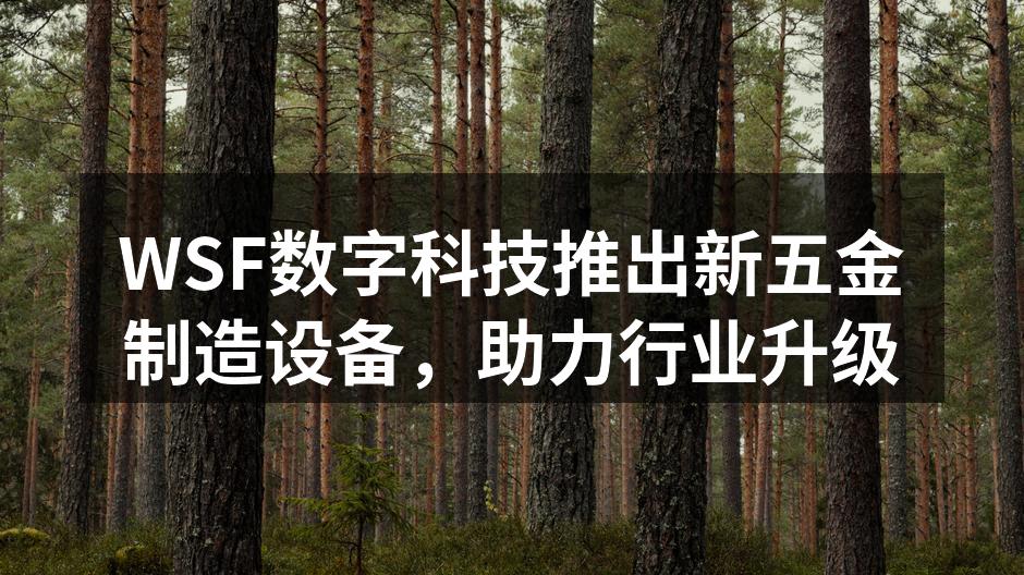 WSF数字科技推出新五金制造设备,助力行业升级