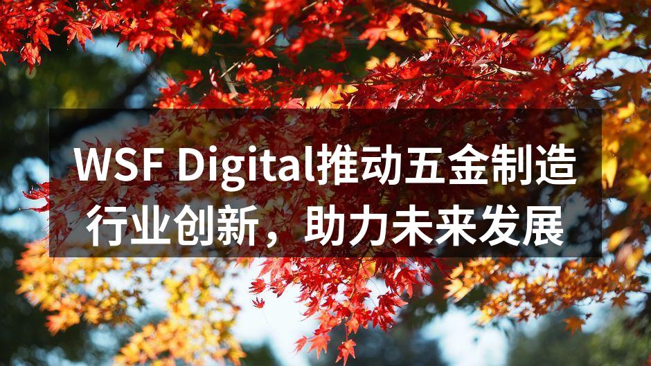 WSF Digital推动五金制造行业创新,助力未来发展