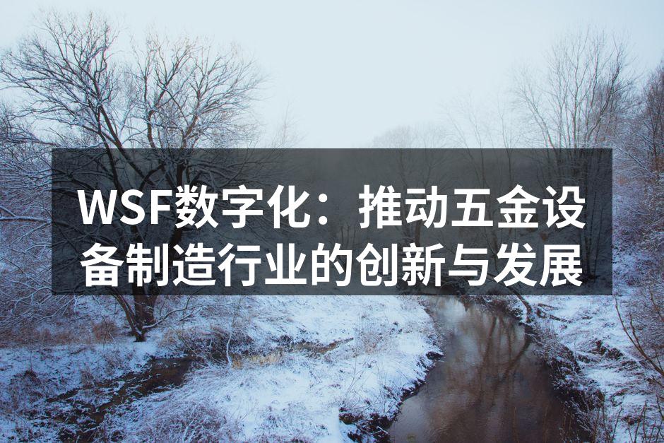 WSF数字化:推动五金设备制造行业的创新与发展